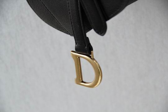 Dior Saddle 6816mini 12X7.5x5cm wo_7